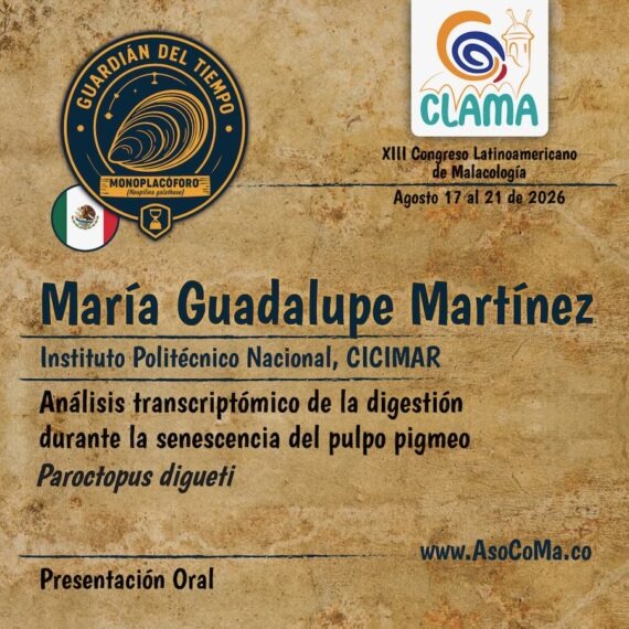 Guardian del tiempo - 13
