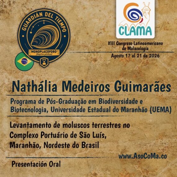 Guardian del tiempo - 6