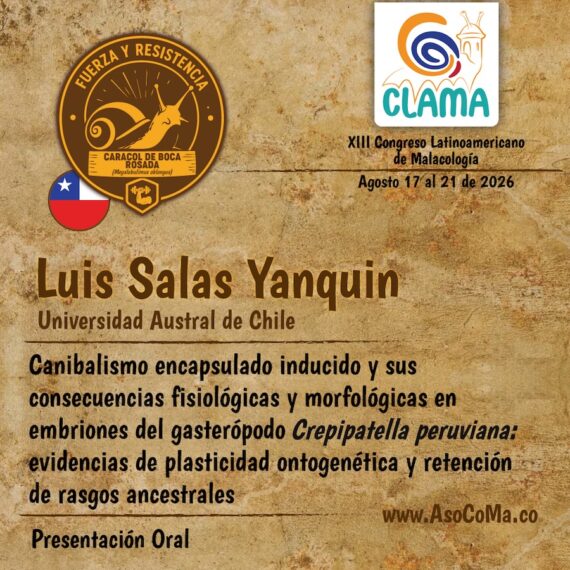 fuerza y resitencia - 12
