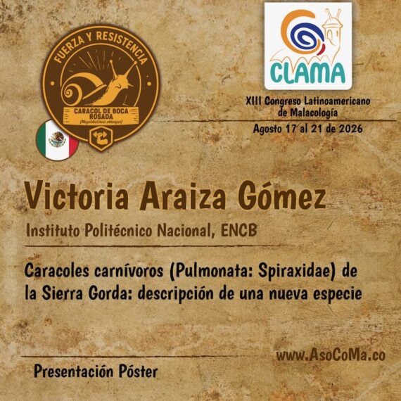 fuerza y resitencia - 19