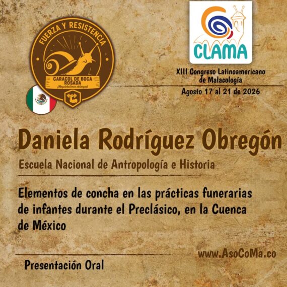 fuerza y resitencia - 4