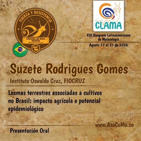 fuerza y resitencia - 5