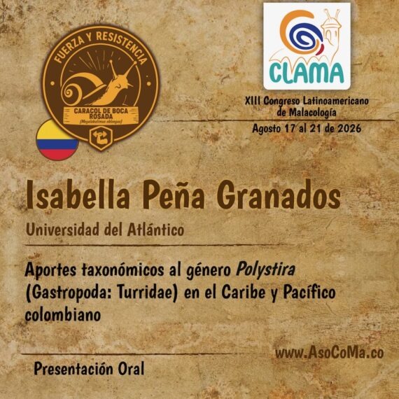 fuerza y resitencia - 6