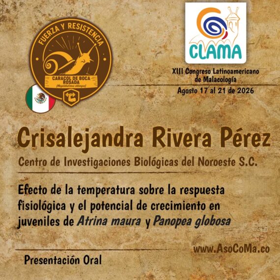 fuerza y resitencia - 8