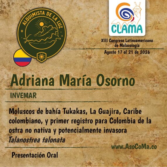 Alquimistas - 11
