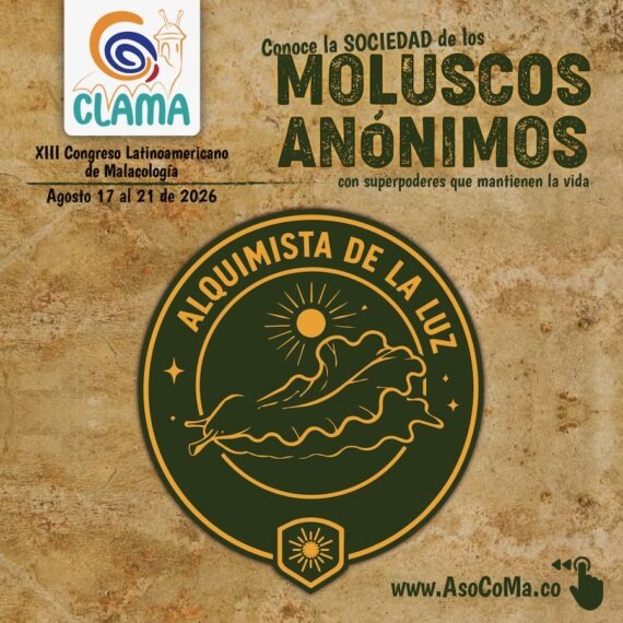 Alquimistas - 4