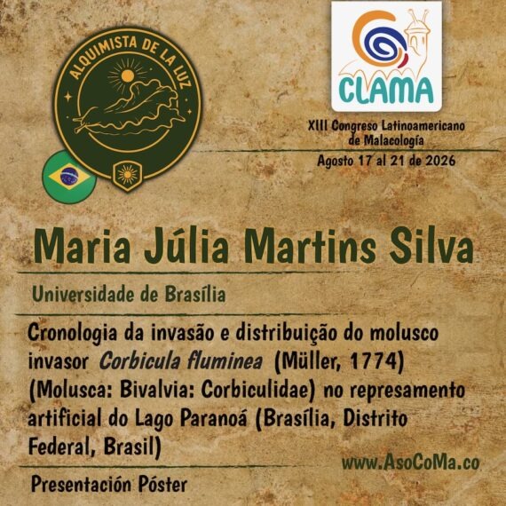 Alquimistas - 6