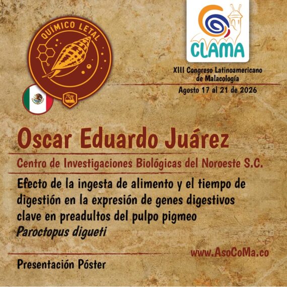 Químico letal - 3